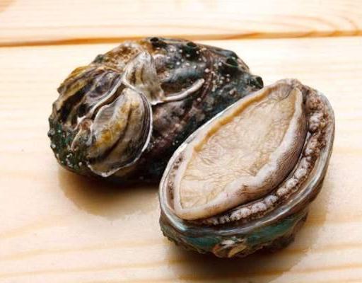 平常大家所提到的鲍鱼,它究竟是长啥样的呢?