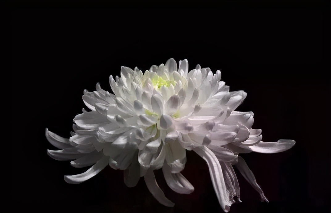 开封律师尚明病逝悼念文章让人泪目