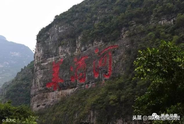 茅台王子酒真伪视频,茅台王子酒和茅台飞天有什么区别