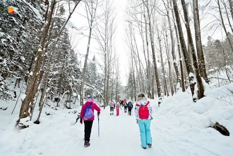 2016雪乡冰雪马拉松暨徒步穿越赛,2019长春全国冰雪徒步大会