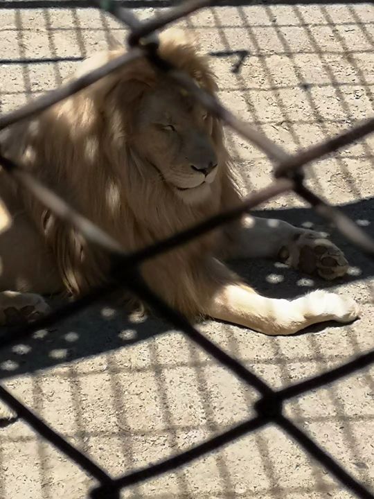 哈尔滨海拉尔呼伦贝尔旅游游记,哈尔滨漠河满洲里旅游攻略