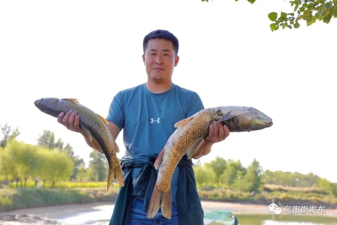 夏日周末亲子活动抓鱼,农家乐抓鱼亲子活动