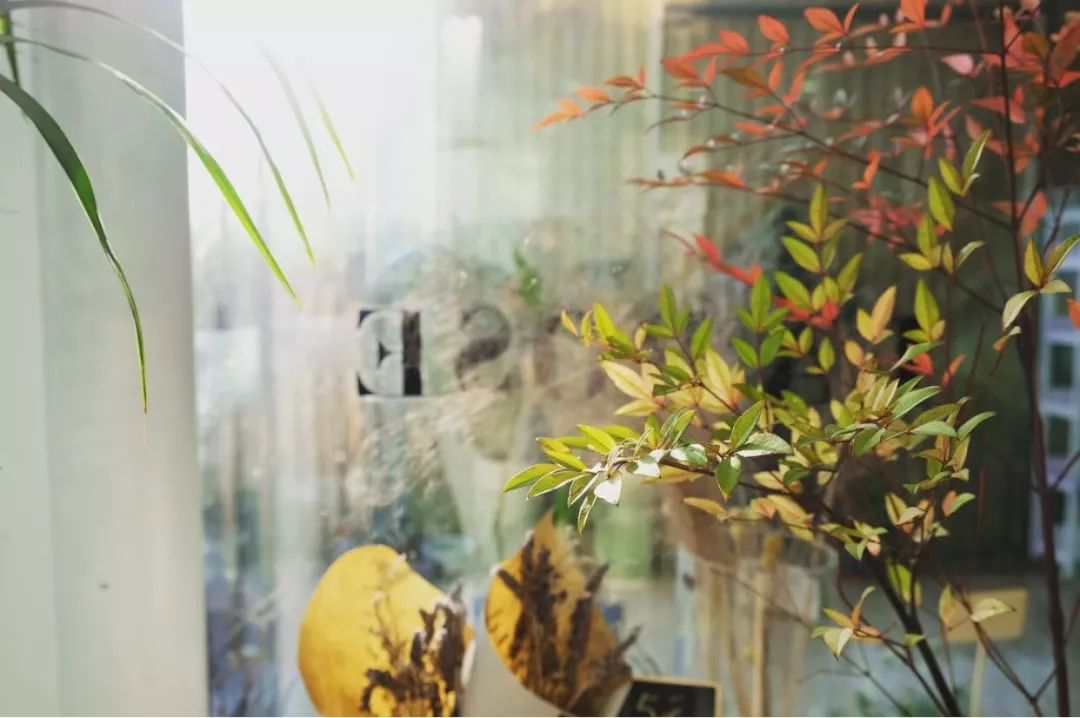 注册花艺工作室和花店,花艺店还是花艺馆