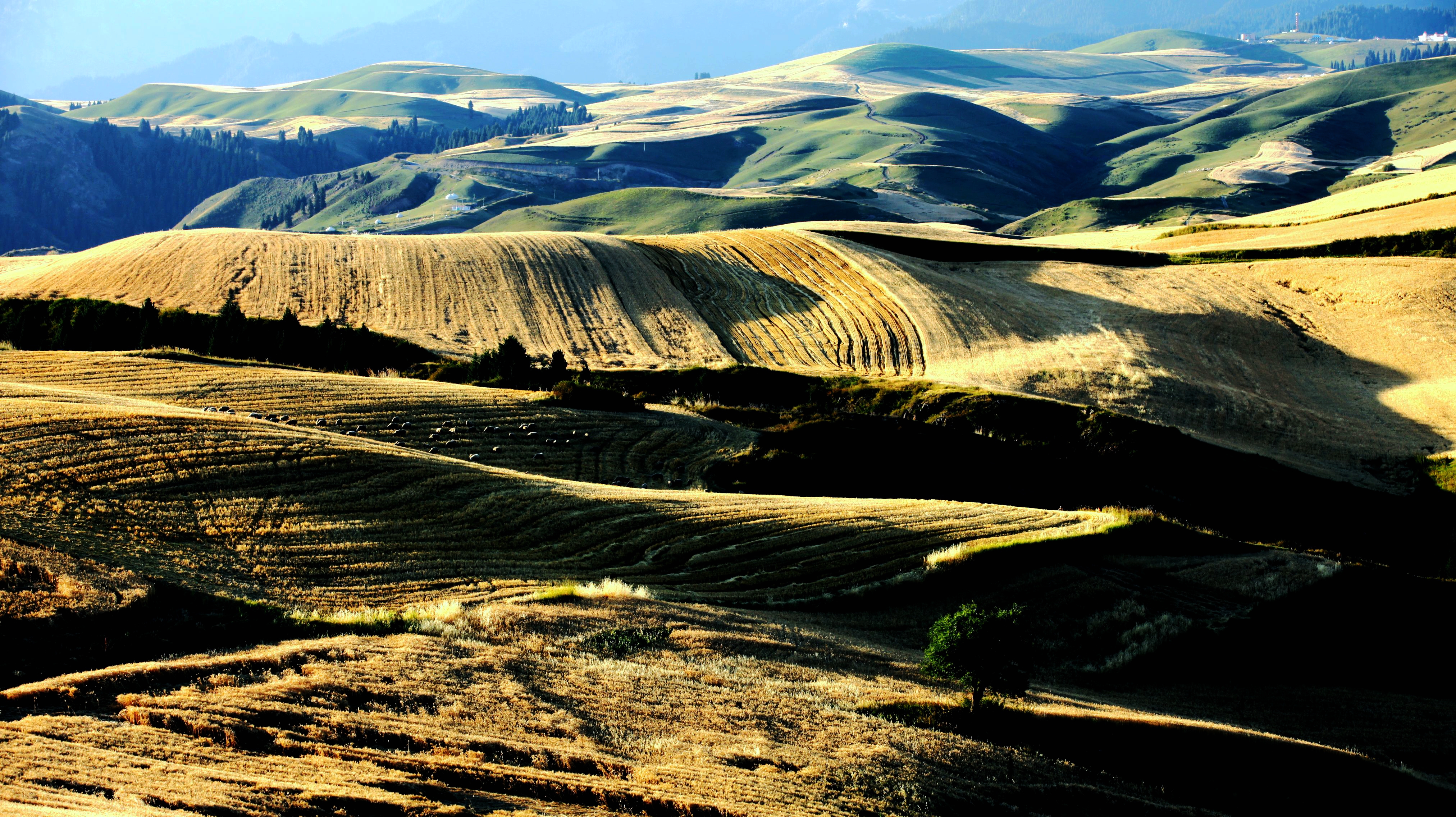 澶╁北楹︽捣,鏄熺┖涓嬬殑缁濈編绋荤敯姊甸珮