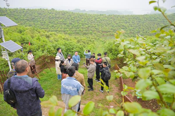 昔日的荒山早已变成了金山银山,昔日荒山变金山