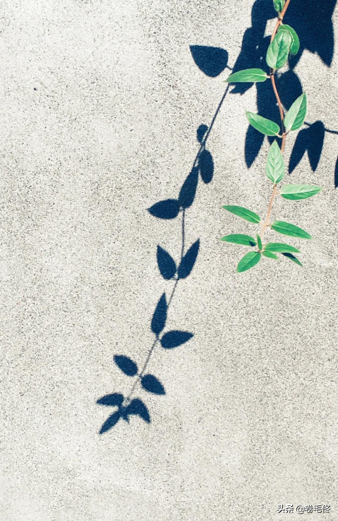 手机拍大片人像,如何拍手机照片最好看