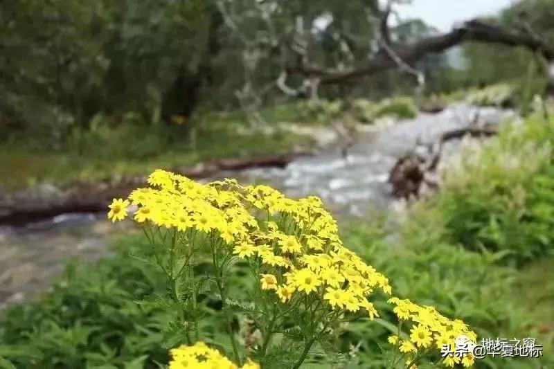 绉嬩箣瀚g劧鐑熻姳鍚戞櫄,绉嬩箣瀚g劧