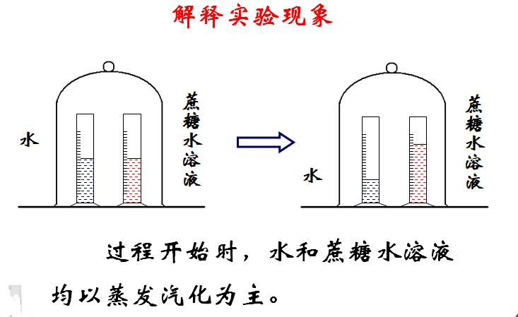 饱和蒸气压实验视频,饱和蒸气压温度对照表