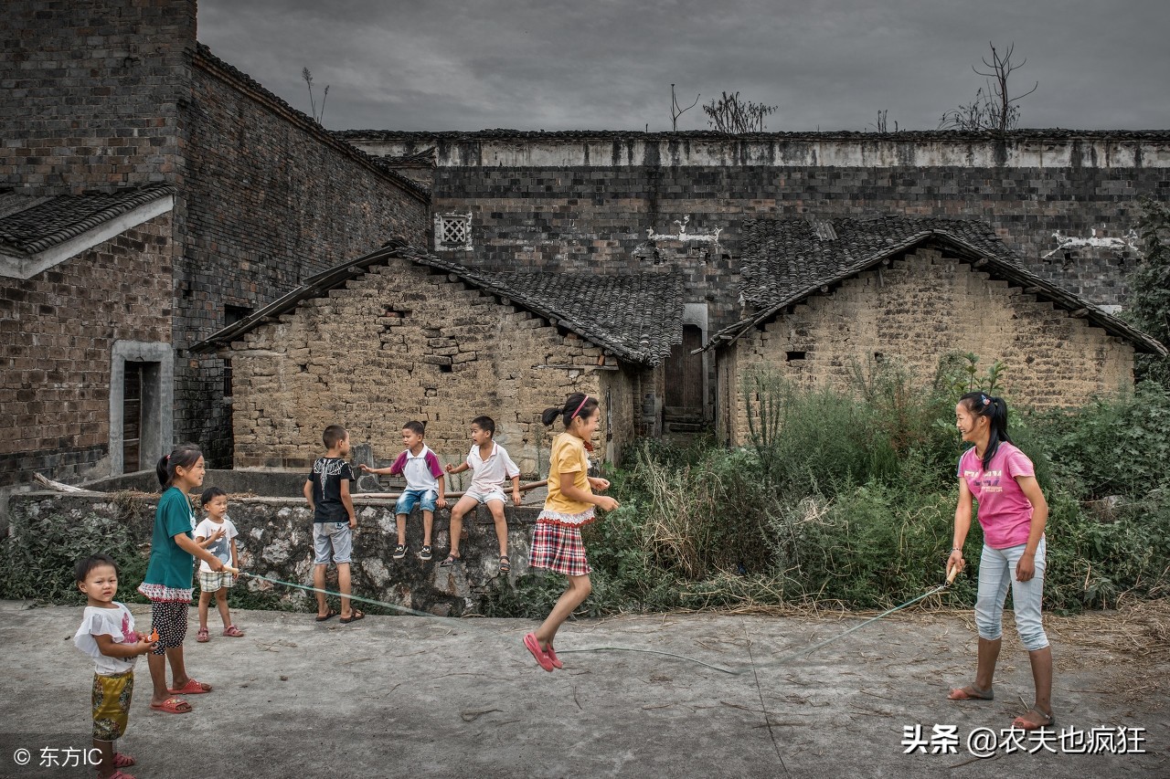 在老家被狗追,被乡下的土狗追怎么办