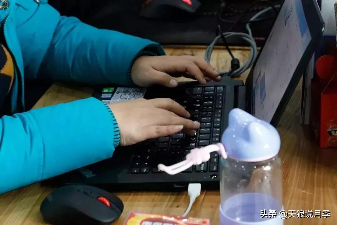 天狼月季起源,天狼月季是做什么的