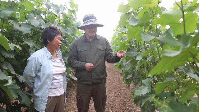 摩尔多瓦好吃吗,摩尔多瓦重要吗