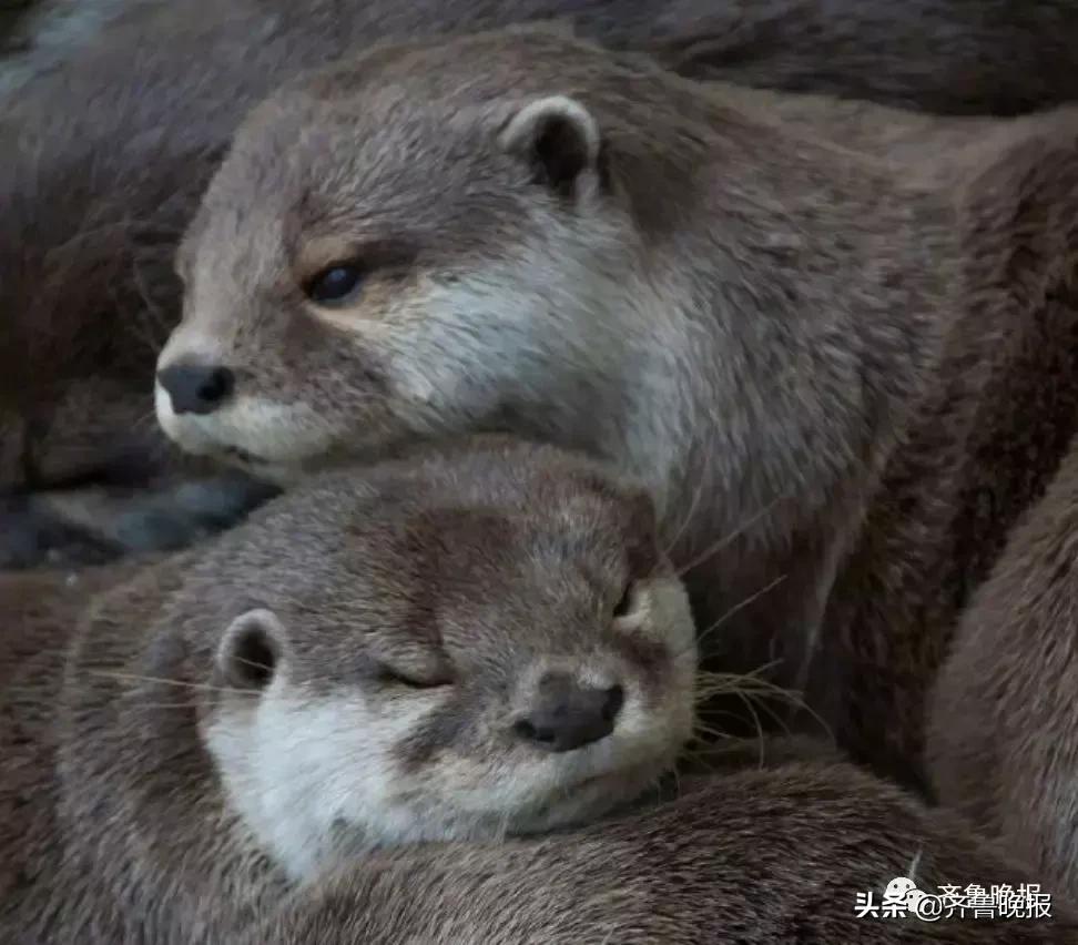 做梦被人*拍偷**女子报警,民警调监控发现是真的|早知道