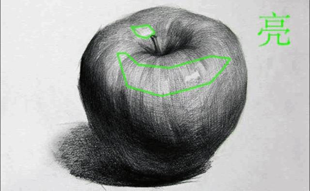 零基础学素描需要学什么,零基础适合学学素描