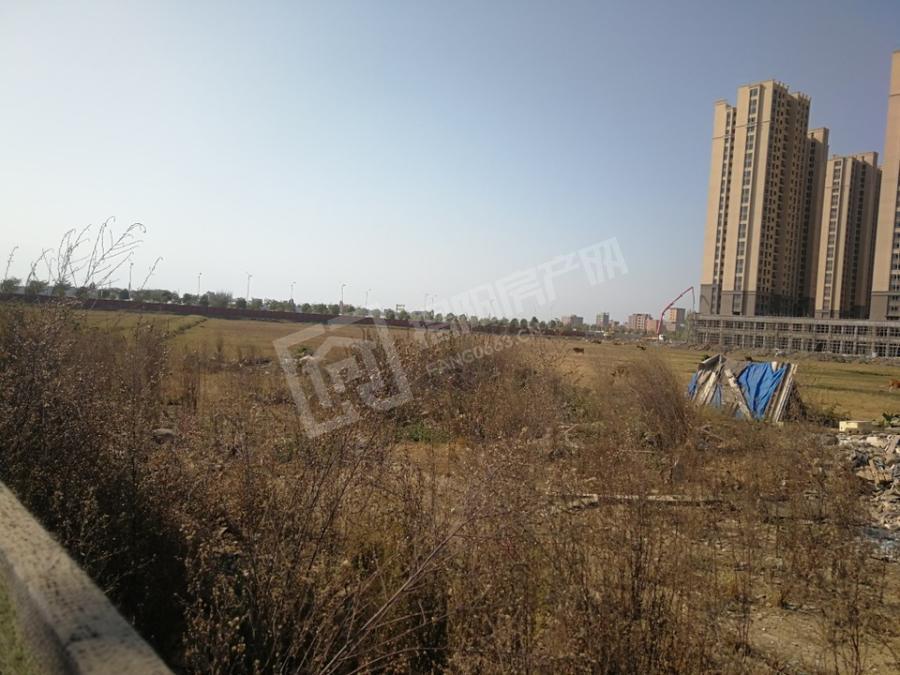 言成房产,言成地产怎么样