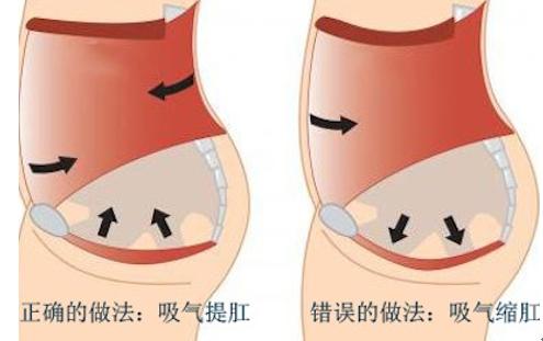 大便粘马桶肛门潮湿有分泌物,肛门周围有小颗粒潮湿痒分泌物
