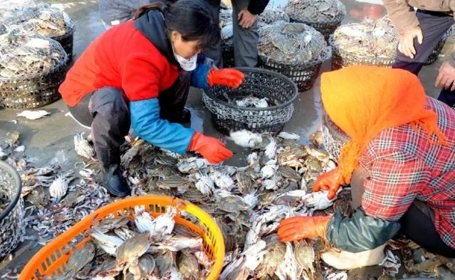 7月份的湛江海边有什么海鲜,湛江开海哪里海鲜便宜