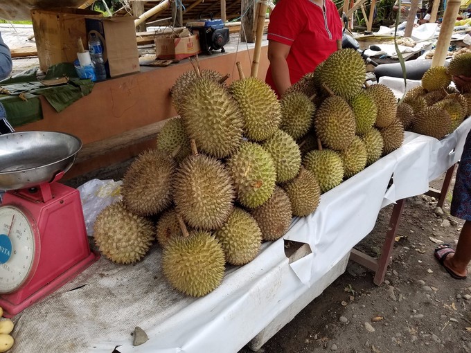 岛民旅游攻略,美娜多旅游详细攻略