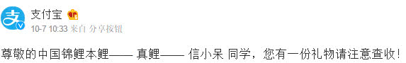 前方高能,一波锦鲤向你游来!好运?安慰剂?惊喜?陷阱?