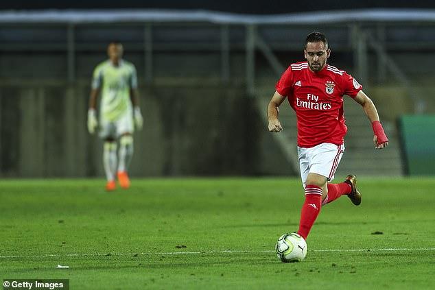 葡超本菲卡最新战况,葡超本菲卡比赛结果