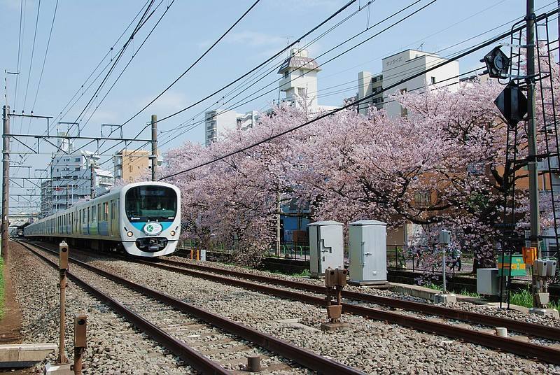 第一次去日本玩但不会日语,第一次去日本旅游注意什么
