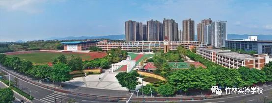 重庆教育最好的区,重庆教育最好的板块