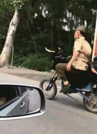 让你心动的搞笑图片,搞笑gif笑死人的动图