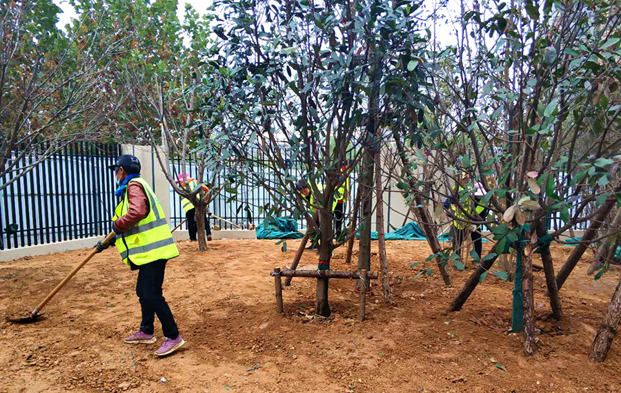 鍥灄缁垮寲鏂藉伐鎵皹娌荤悊,鎵皹娌荤悊鍥灄宸ョ▼瑙勮寖