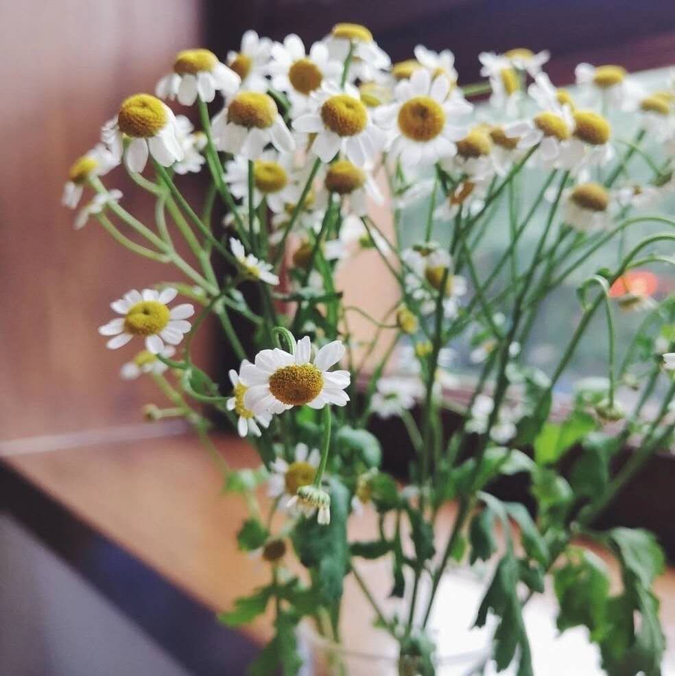 每个家庭都要懂积极心理学,心理学对家庭有什么帮助