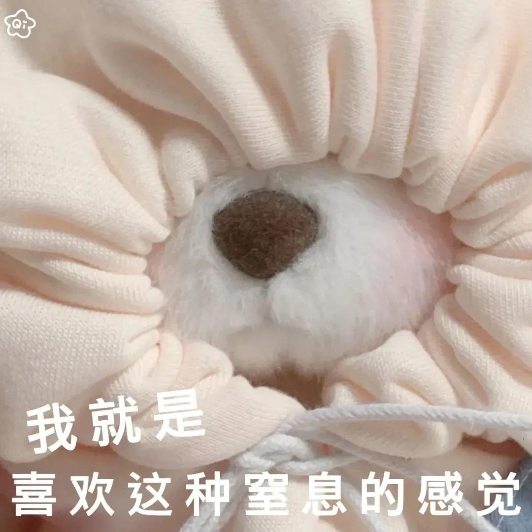 开启反弹模式的表情包,劈酒反弹表情包