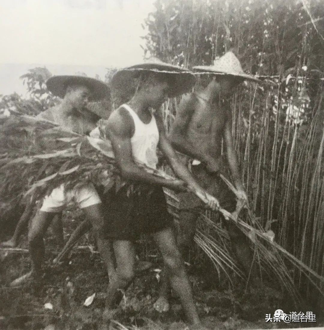 洪家楼老照片,洪家楼旧照