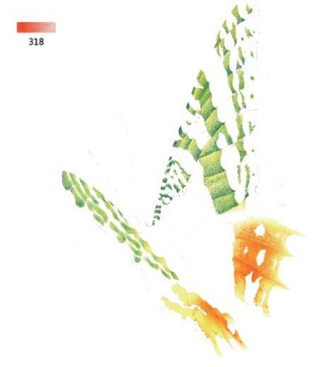 3d错觉画教程,3d错觉画作品