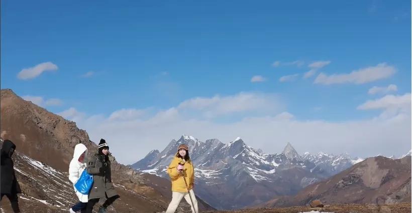 洋葱为什么要常备,洋葱的5大秘密