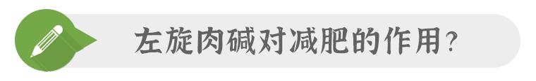 左旋肉碱是脂肪的搬运工,脂肪的搬运工是什么