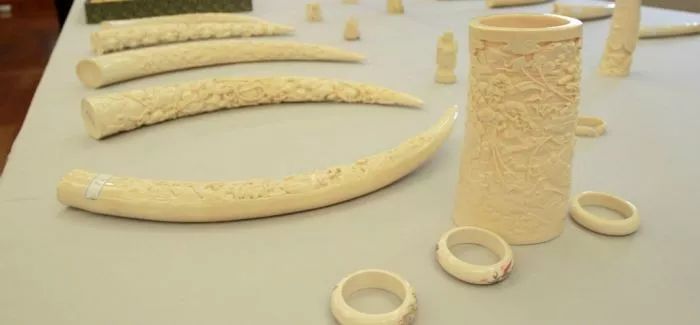 知道家乡的特产怎么发朋友圈,知道自己地区的特产吗