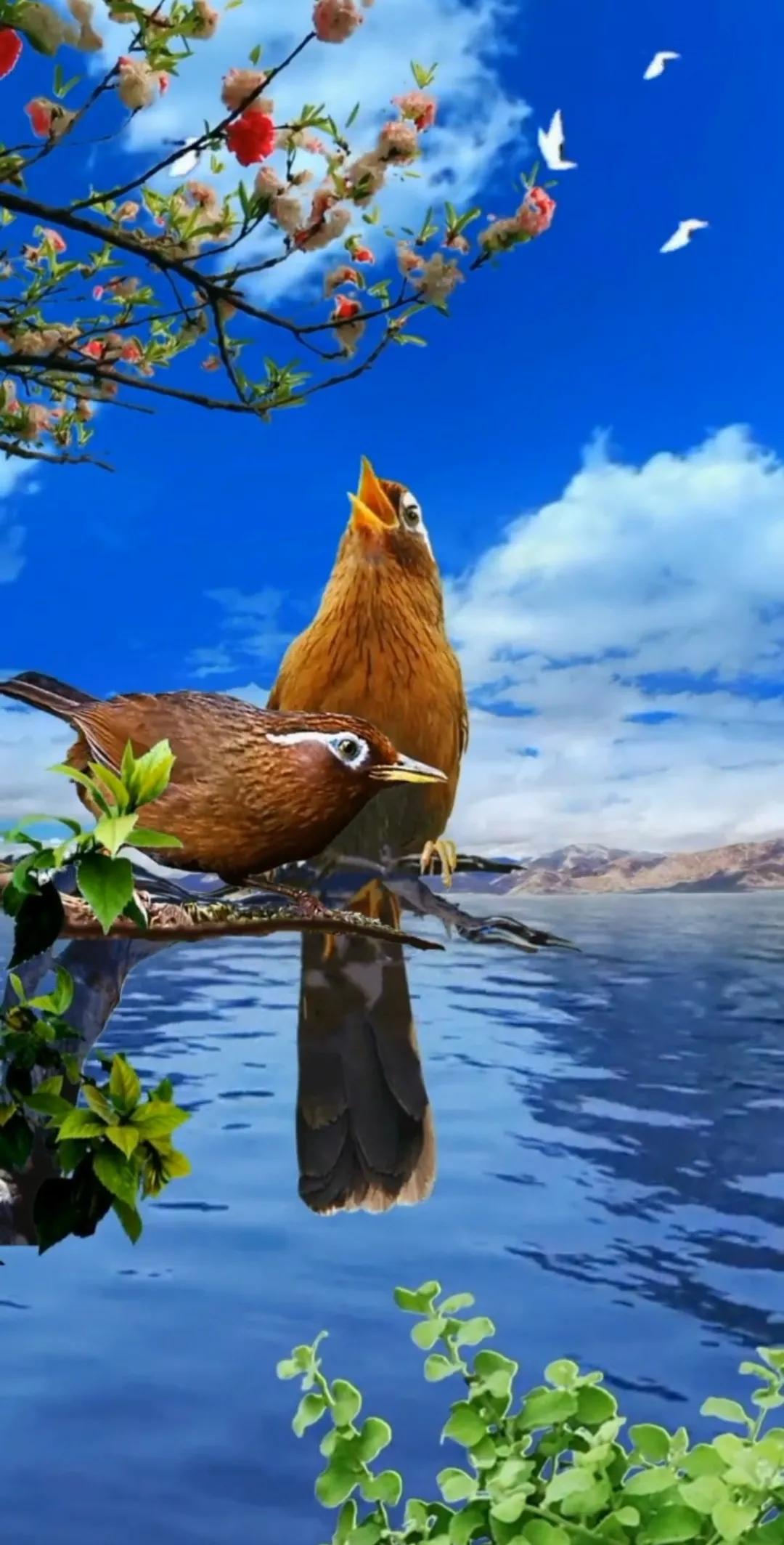 树洞心灵,心灵树洞我的心声