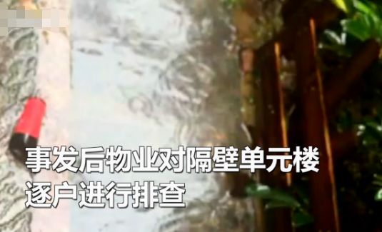 高空抛物花盆砸孕妇熊孩子扔下去,高空抛物砸伤孕妇流产