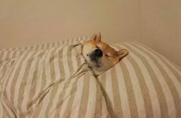 小哥帮家政正规吗,上门保洁家政服务男生好做吗