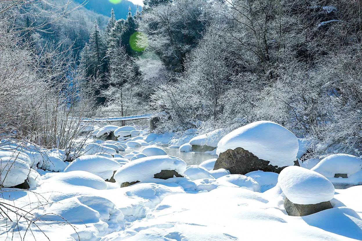 冬季的庭院景观,美丽如画的自然景观让人心旷神怡