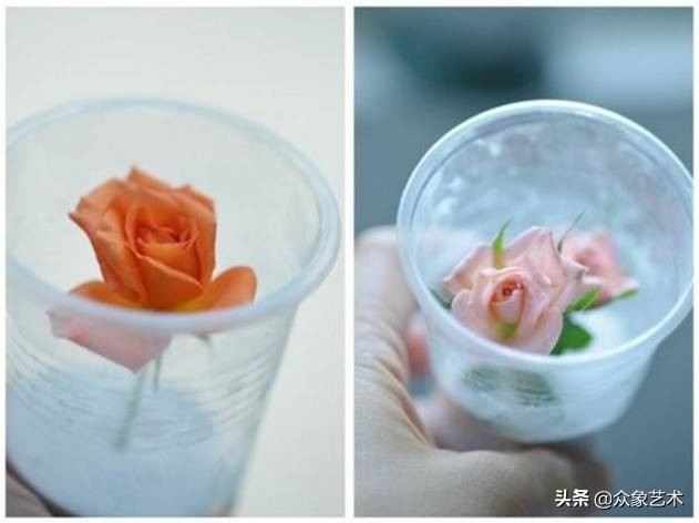 如何制作干花片,如何制作干花花束