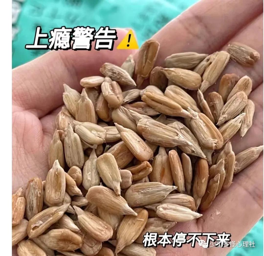 为什么嗑瓜子越嗑越过瘾,为什么嗑瓜子容易上瘾