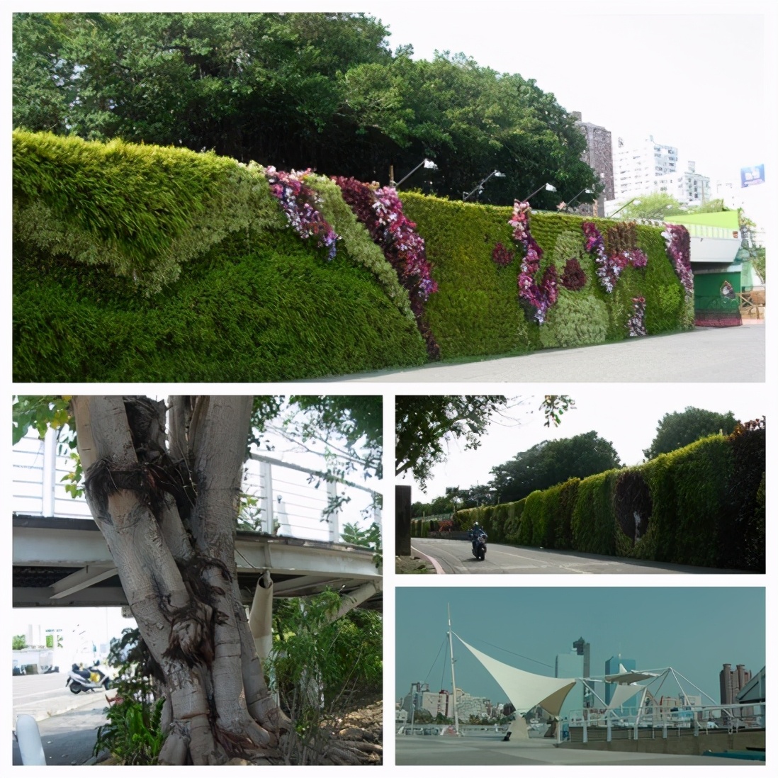 台湾环岛8日旅游路线攻略,台湾环岛8日跟团游攻略