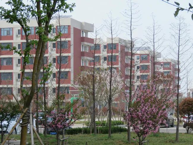 连云港华杰实验学校优点,名校巡礼海南中学