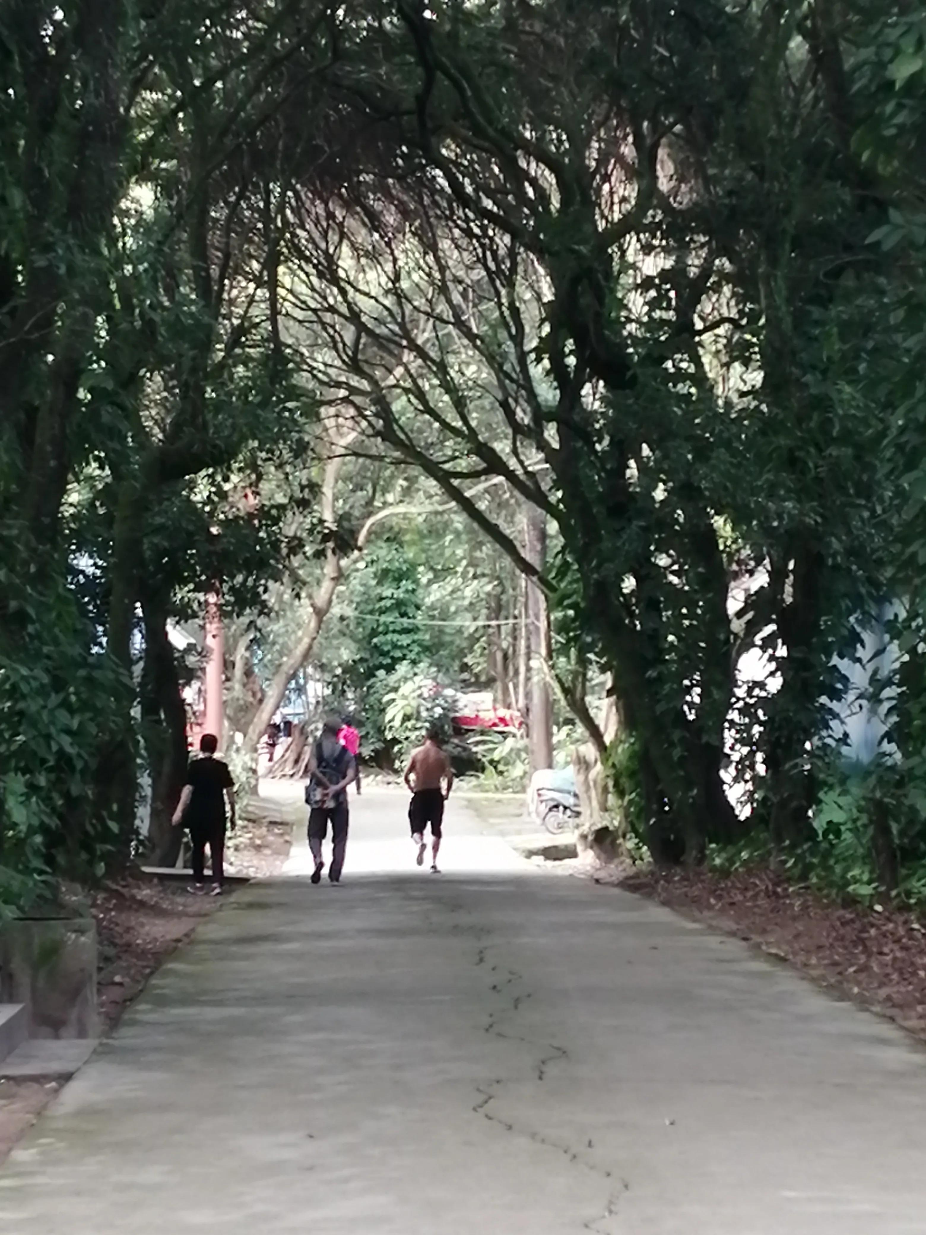 景洪市西双版纳风情园视频,西双版纳景洪市民族风情园