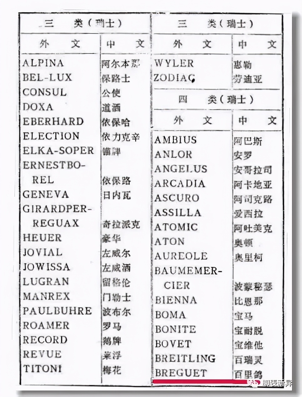 百里鸽是什么鸽,百里鸽是什么鸽图片