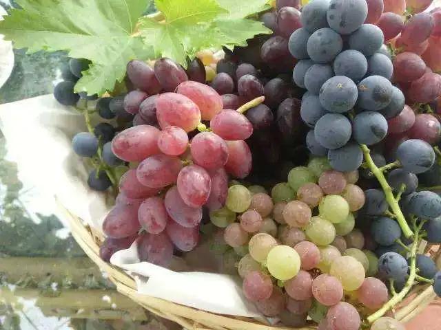 吐鲁番之歌钢琴曲,吐鲁番之行歌曲