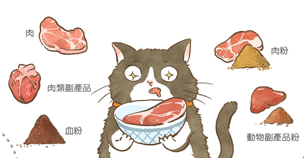 科普猫狗的危害,医生科普养猫狗提高婴儿的免疫力