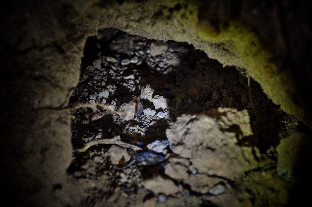 务本手电评测,务本d1手电筒测评