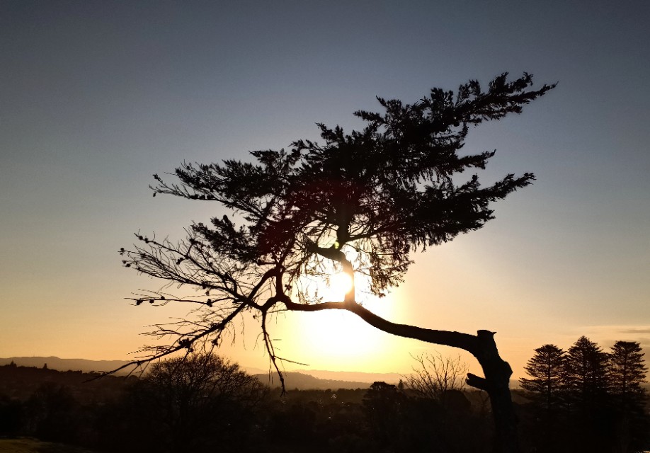 一树山,我的精神家园