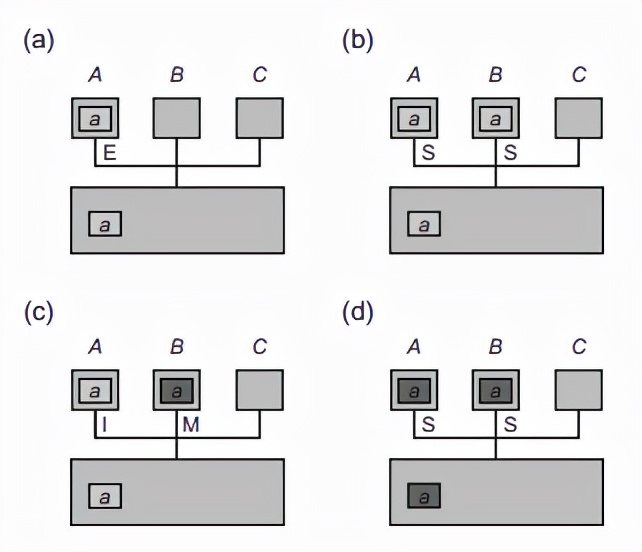 微服务性能优化大全,微服务接口性能优化