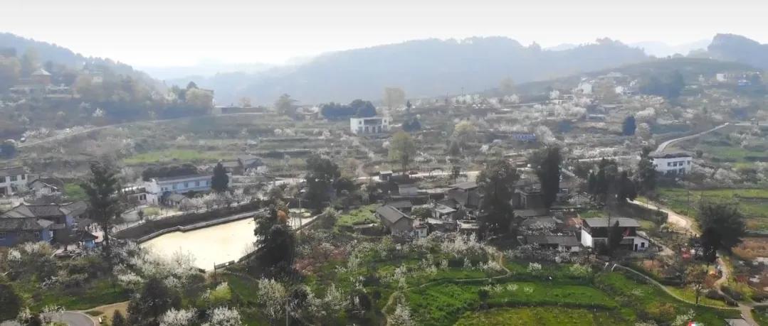 成都新津和新都哪个更值得买,目前新津的升值空间大吗